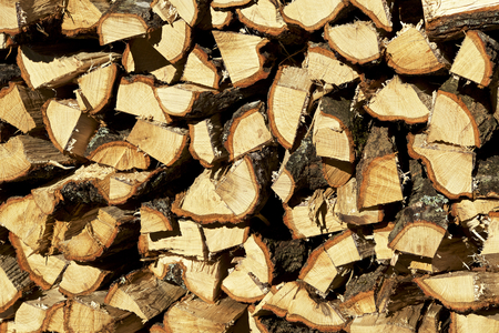 Firewood stacked in autumnの写真素材