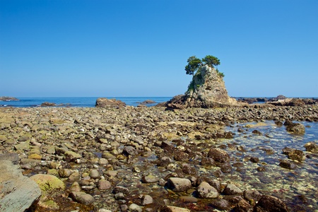 Landscape of the high tides of the minokake-rocks at Izu.の写真素材