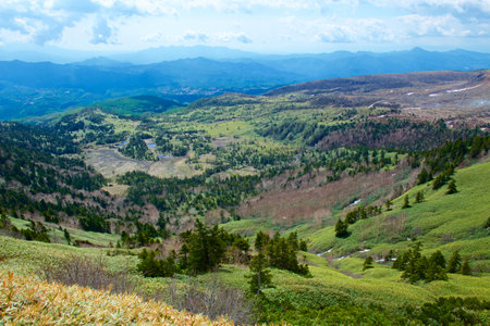 The beautiful view of Shibu pass Shiga Kogen in Japan.の写真素材