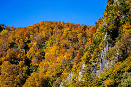 Beautiful autumnal scenery of Nunoiwa in Akiyamago.の写真素材