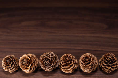 Larch cone decoration on a wooden board, background.の写真素材