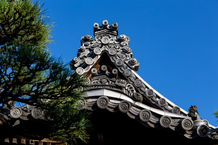 Japanese traditional beautiful tiled roof.