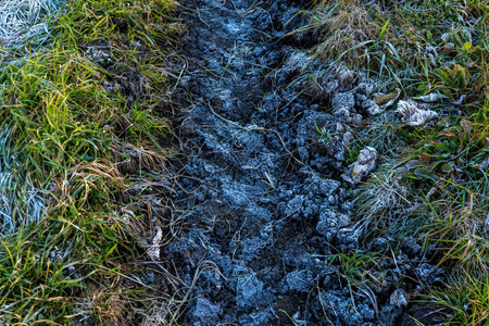 Frozen tractor tire tracks in late autumn.の写真素材