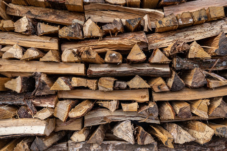 Firewood stacked in preparation for winter.の写真素材