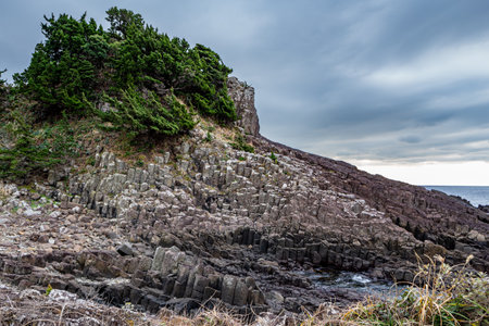 Scenery of columnar joints on the Izu coast.