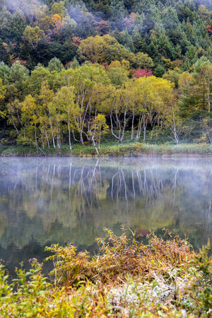 View of autumn leaves at Kido Pond shrouded in autumn morning fog.の写真素材