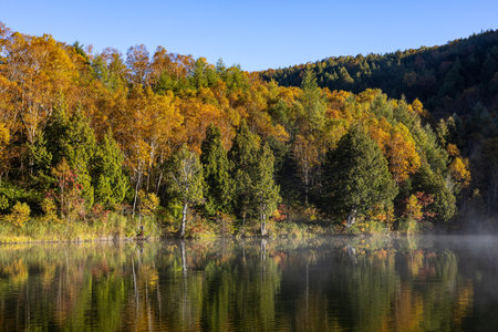 Shiga Kogen Early morning view of autumn leaves at Kido Pond.の写真素材