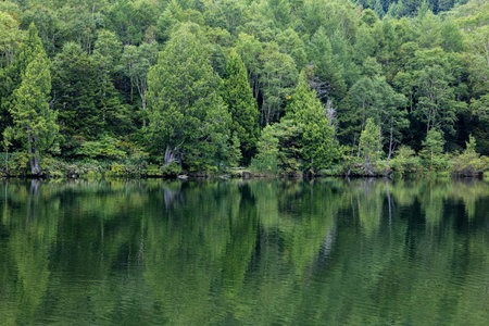 Shiga Highlands - Early morning view of Kido Pond in summer.の写真素材