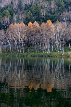 Late autumn scenery of Shiga Kogen Kido Pond.の写真素材