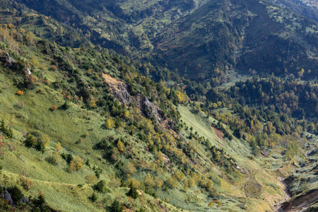 The beautiful view of the autumn leaves of Shiga Kogen in Japan.の写真素材