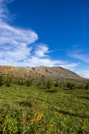 A mysterious view of Mt. Kusatsu-Shirane on the plateau of Japan.の写真素材