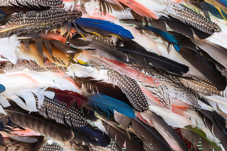Many beautiful waterfowl feathers close-up.の写真素材