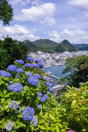 View of Shimoda city from the hydrangea garden in Shimoda Park.の写真素材