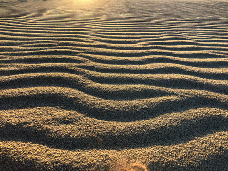 Sand ripples on a beach in the evening. Abstract background.