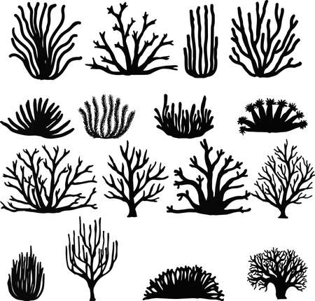 Hand drawn corals isolated on white. Silhouette icons.のイラスト素材