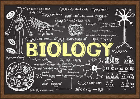 Hand drawn biology on chalkboard.のイラスト素材