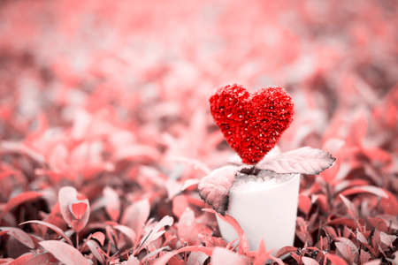 Love tree pot on wooden floor with copy space for quote,phrase or sayingの写真素材