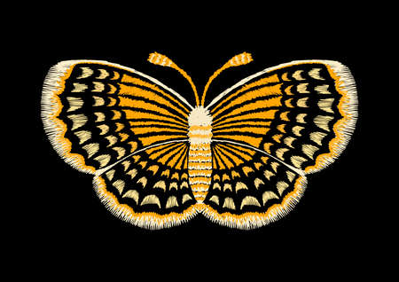 Yellow lines in butterfly shape,embroidery design.Vector illustrationのイラスト素材