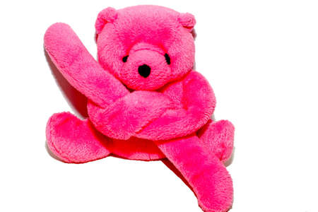 Pink  toy bear isolated on white backgroundの写真素材