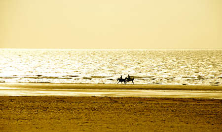Silhouette of a man and woman riding horses on the beach at sunset.の写真素材