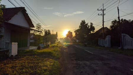 Shineのeditorial素材