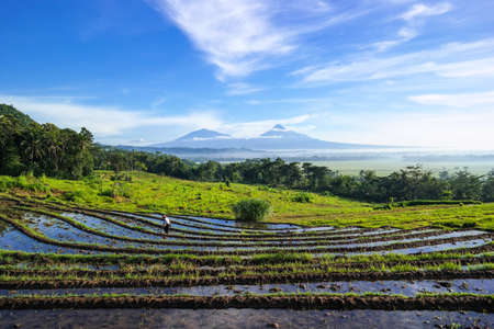 Nature.の写真素材