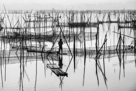 Morning at the swampの写真素材