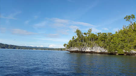 The bright blue sky shade coral rock green forestの写真素材