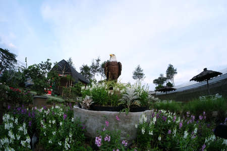 Statue white eagle head with brown fur surrounded by assorted flowers in the beautiful gardenの写真素材