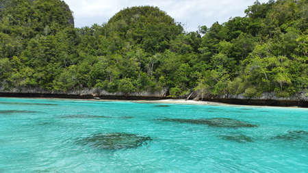 Clear tosca colored water near the white sand beach and green forest which growth on coralの写真素材