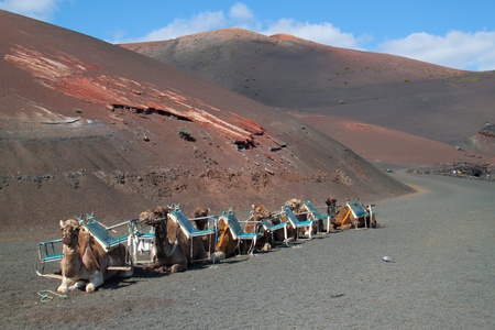 Volcanic landscape from Timanfaya, Lanzarote island, Spain の写真素材
