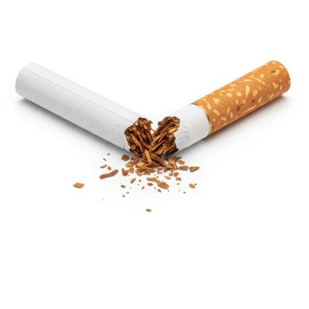 A single cigarette is broken in half, with its tobacco contents scattered across a clean white surface.の素材