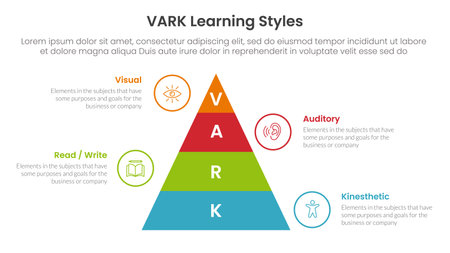 VARK learning styles infographic 4 point stage template with pyramid shape vertical for slide presentation vectorのイラスト素材
