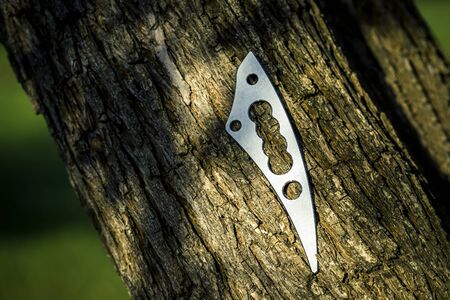 Medical blade for alternative medicine, isolated and close up.の写真素材