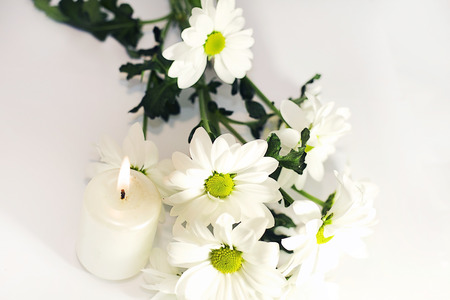white flowers with the candle on the white flowersの写真素材