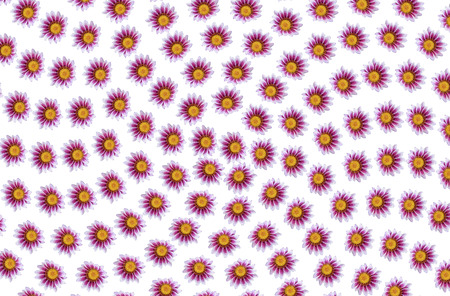 nice patterns from the colorful flowersの写真素材