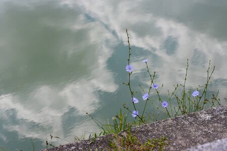 reflection flour white cloudsの写真素材