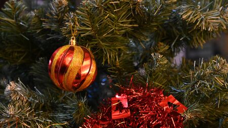 beautiful red sphere on the pine treeの写真素材