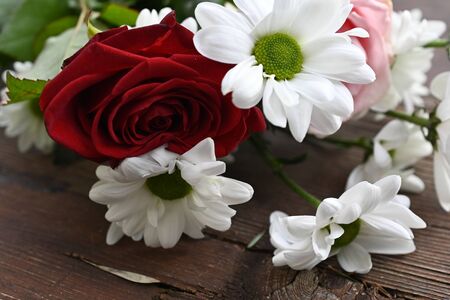beautiful colorful flowers close up on the mirrorの写真素材