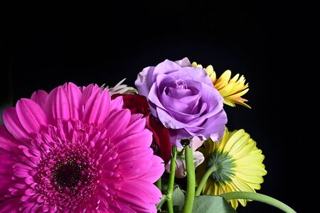 a very pretty colored bouquet flowerの写真素材