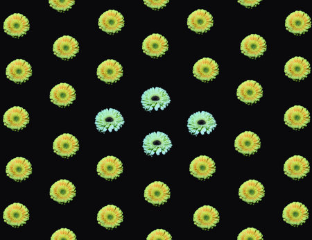 very pretty colorful patterns from the gerberas close up