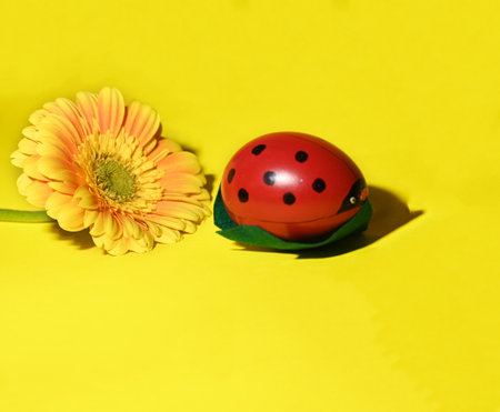 very pretty colorful  Easter eggs close upの写真素材