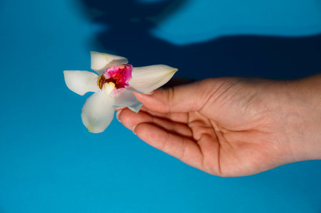 beautiful color orchid flower in the woomen handの写真素材