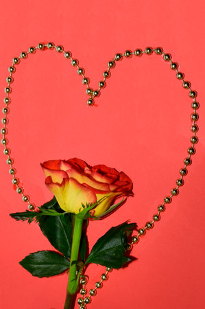 beautiful love colorful valentine s dayの写真素材