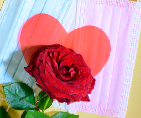 beautiful Valentine s day mask and colorful flowerの写真素材