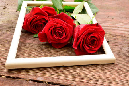 beautiful red rose flower in the frame many heart