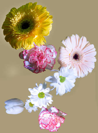 very pretty flying colorful flowers