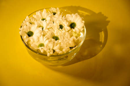 a very pretty glass bowl flower close upの写真素材