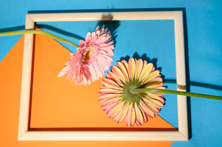 very pretty colorful rose,gerbera,carnation flower in the frameの写真素材