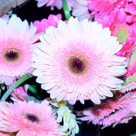 beautiful colored many  flower bouquet close upの写真素材